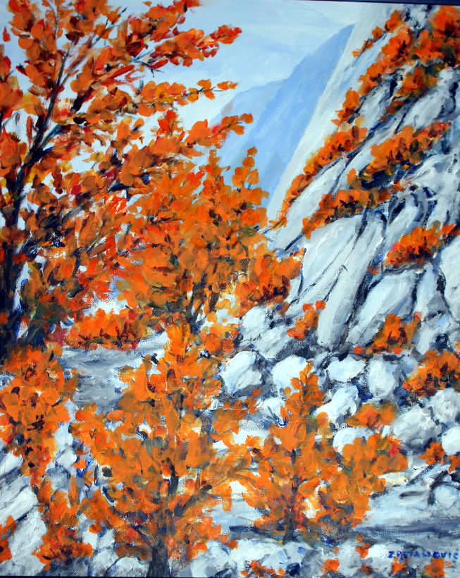 Zvonko Petanović Slavonski Brod